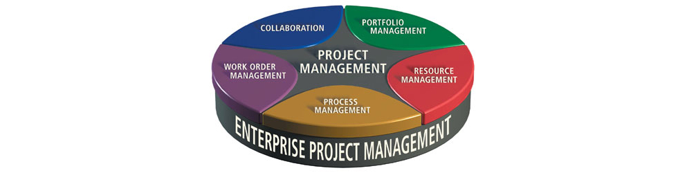 Project and program Management